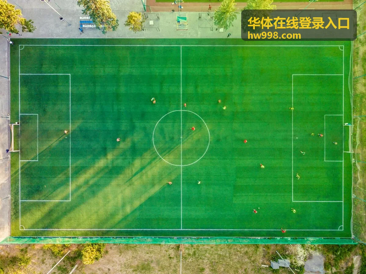 华体在线登录入口密码找回流程示意